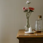 Bed & Breakfast Belcasale Vignale
