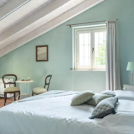 Belcasale ויניילה